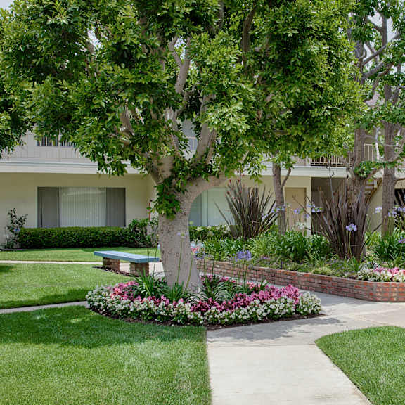 a walkway through the courtyard with a flowerbed and bench on the sides.