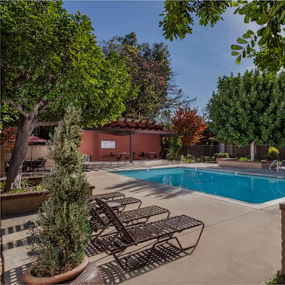 a pool surrounded by trees and chairs.