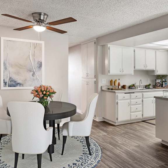 a kitchen with a table and chairs in the foreground and a countertop with a sink and a plant on it in the background.