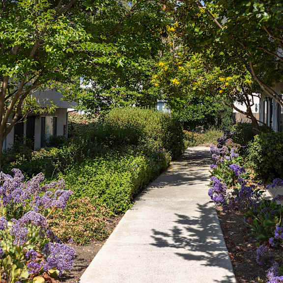 a pathway with purple flowers on the side and trees on both sides.