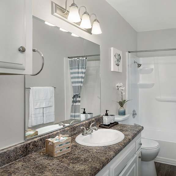 a bathroom with a sink, mirror, and toilet.
