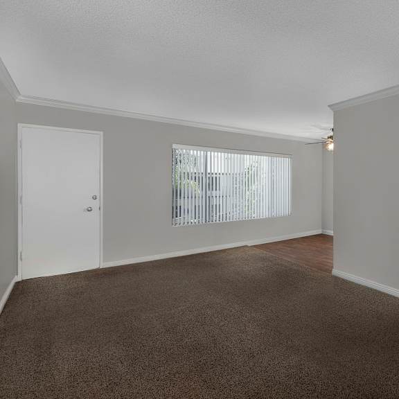 a room with a carpeted floor and white walls.