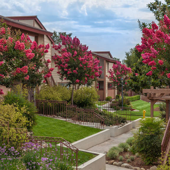 a beautiful path with plants and trees with red flowers.