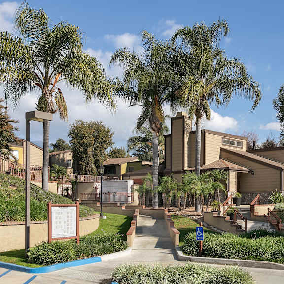 palm trees around the entrance to the apartments.