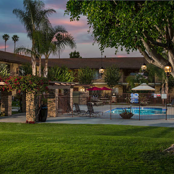 a pool area with a tree in the foreground and a building in the background.