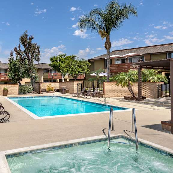 a swimming pool in a residential area with palm trees.