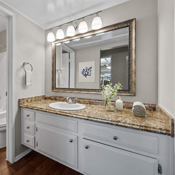 a bathroom with a granite countertop and a large mirror.