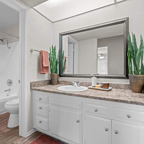 a bathroom with a white vanity and a mirror above it.