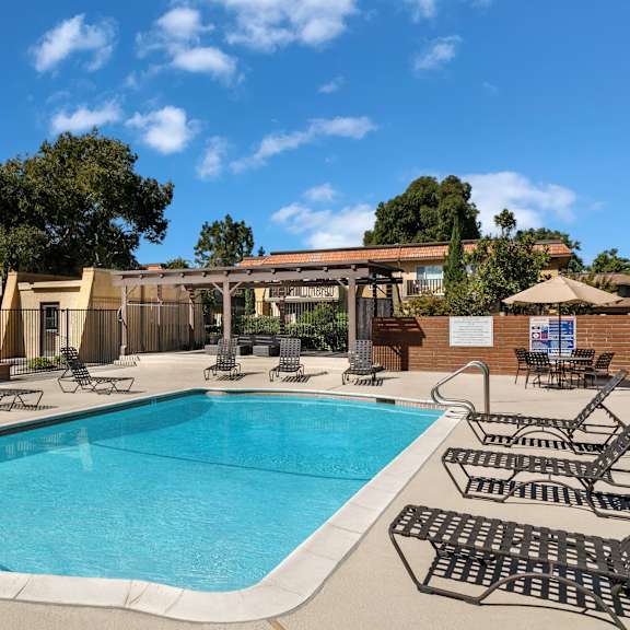 a large outdoor swimming pool surrounded by sun loungers and trees.