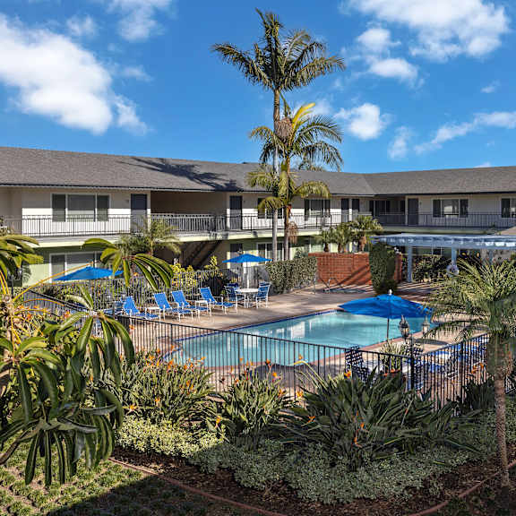 a pool surrounded by palm trees and plants.