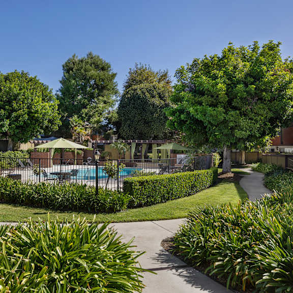 a residential area with a pool and greenery.
