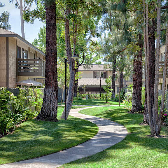 a pathway in a park with trees on either side.