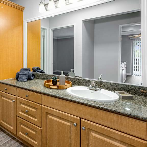 a bathroom with a sink, mirror, and wooden cabinets.