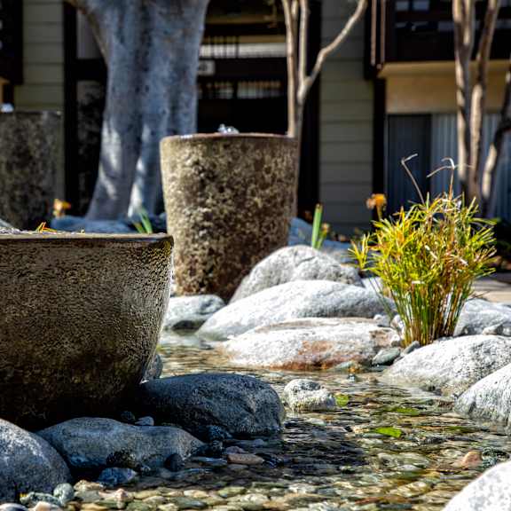 a garden with a pond and rocks.