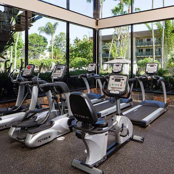 a gym with treadmills and exercise bikes.
