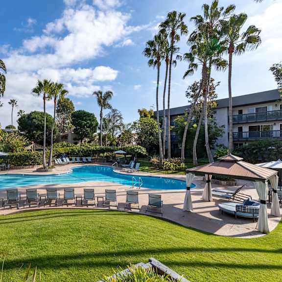 a large swimming pool surrounded by palm trees and lounge chairs.