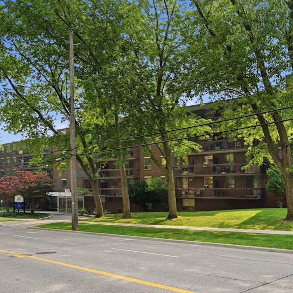 a tree with green leaves stands in front of a building.