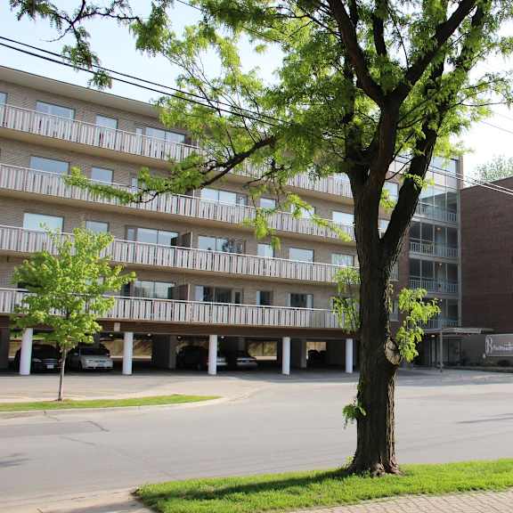 a tree stands in front of apartment buildings.