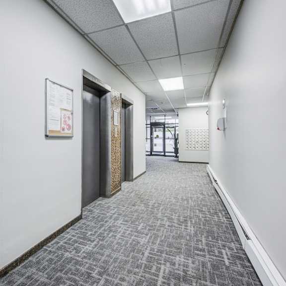 a hallway with a carpeted floor and white walls.