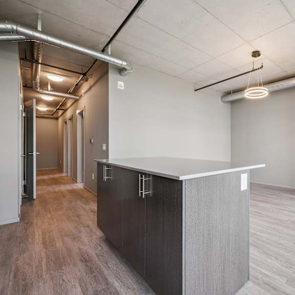 a room with a long counter and a cabinet.