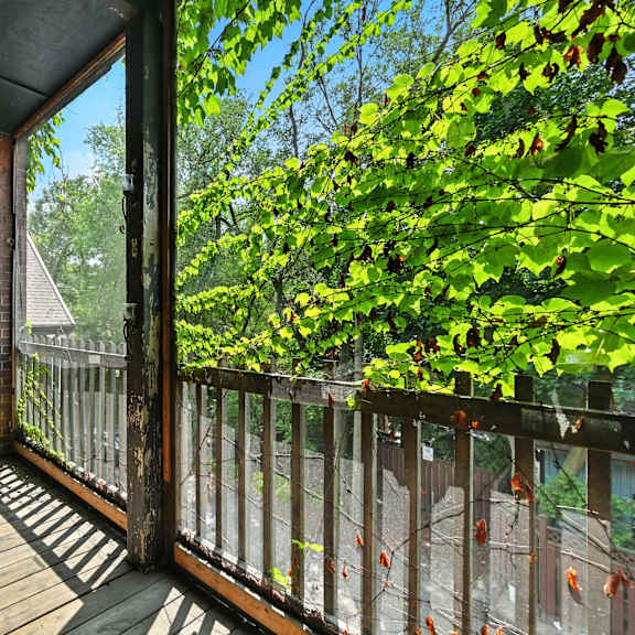 a wooden deck with a screen door leading to a lush green garden.