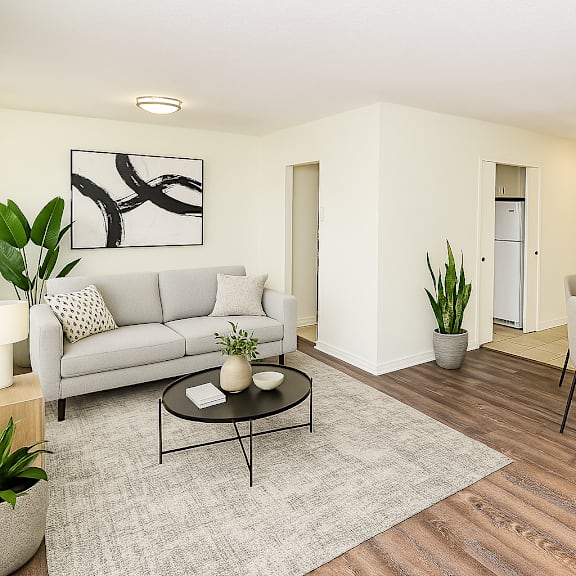 a living room with a grey couch, a coffee table, a dining table with chairs, and a plant.