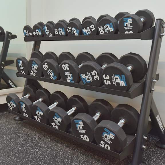 a set of dumbbells with weights ranging from 5 to 50 pounds are arranged on a rack at roxy apartments, ontario, l8h 0b7