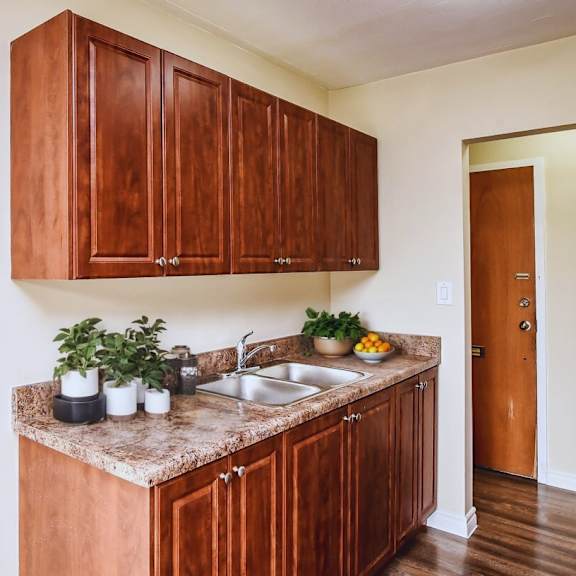 a kitchen with brown cabinets and a painting of a green field on the wall.