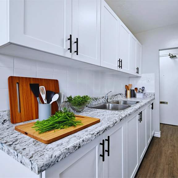a kitchen with white cabinets and a marble countertop.