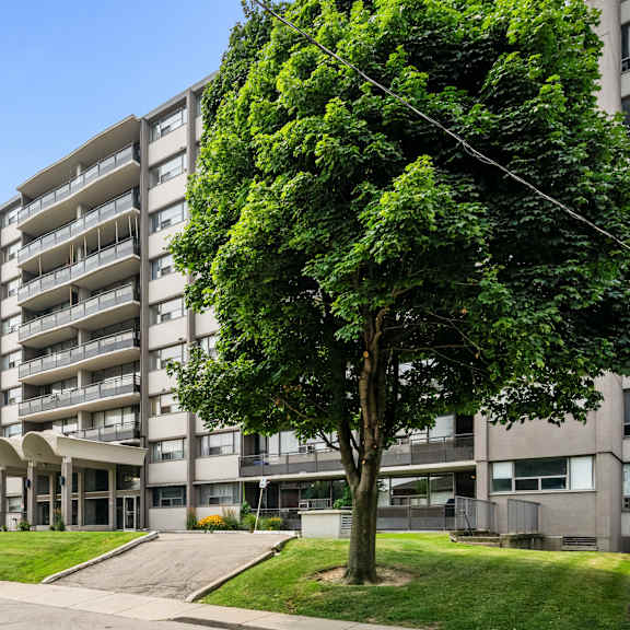 a large tree is in front of a grey apartment building.