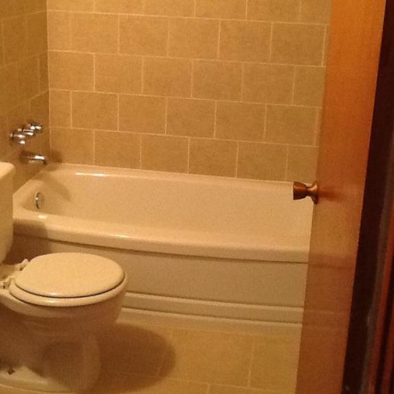 a white toilet sits next to a bathtub in a bathroom.