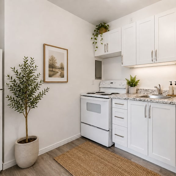 a kitchen with white appliances and cabinets, a potted plant, and a framed picture on the wall.