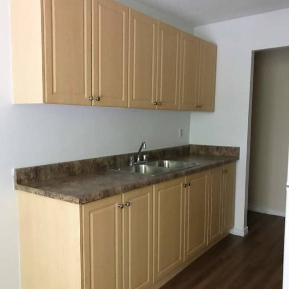 a kitchen with wooden cabinets and a granite countertop.