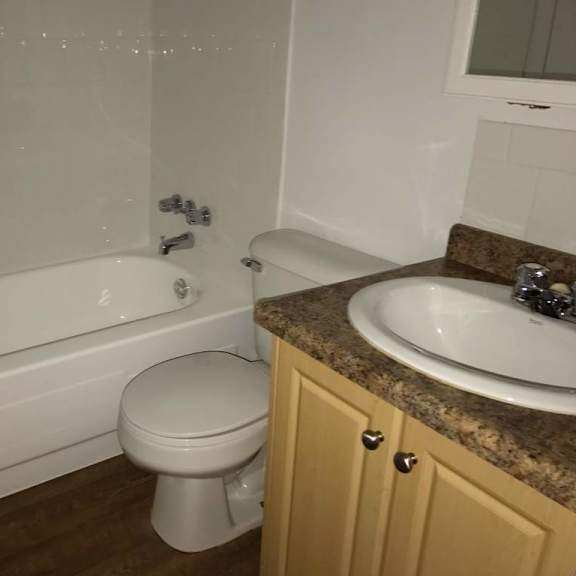 a white toilet sits next to a bathtub in a bathroom.