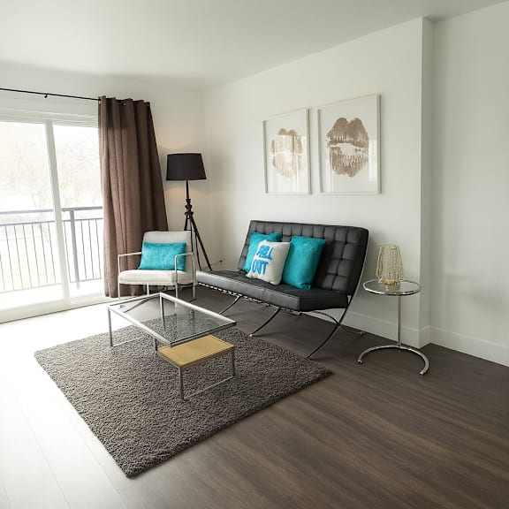 a living room with a sofa, a coffee table, and a rug.