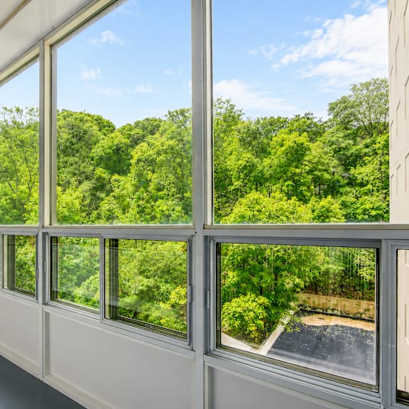 a room with large windows overlooking a green forest.