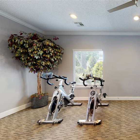 peloton bikes at vue on medlock, peachtree corners