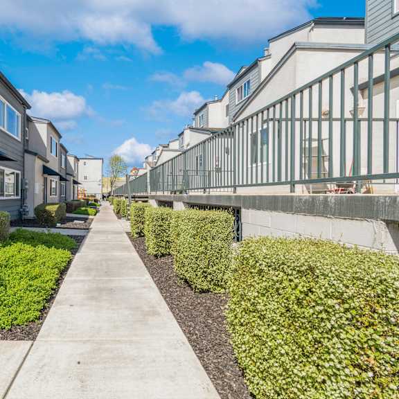a row of houses with green bushes in front at oak center apartments, oakland