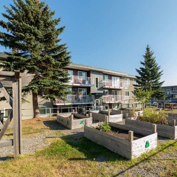 a sunny day at a residential area with apartment buildings and raised garden beds.