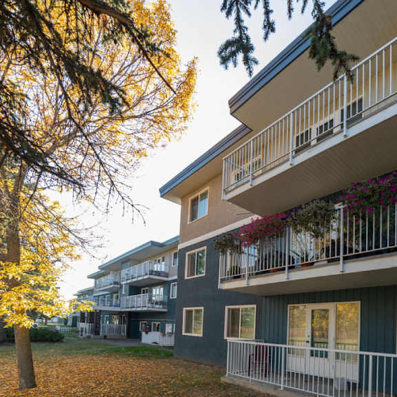 a tree with yellow leaves is in front of a building with balconies.