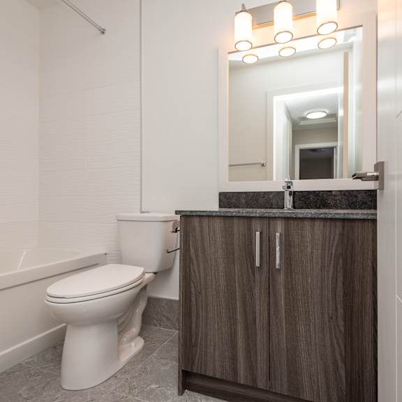 a white toilet sits next to a wooden cabinet in a bathroom.