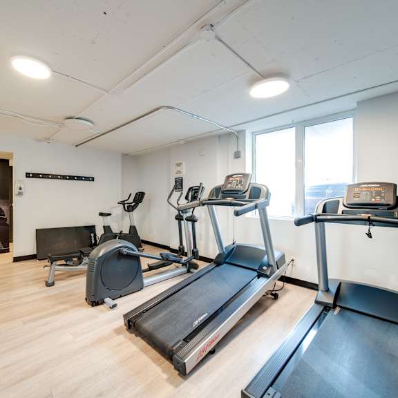 a gym with treadmills and elliptical machines.