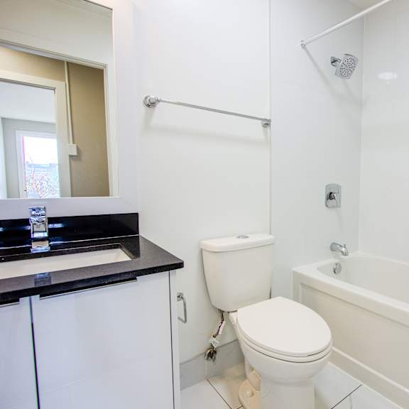 a white toilet sits next to a white bathtub in a bathroom.