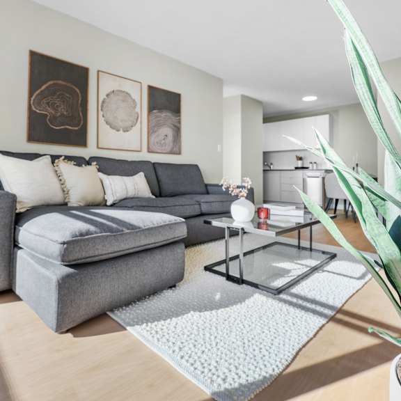 a living room with a grey couch and a grey ottoman.