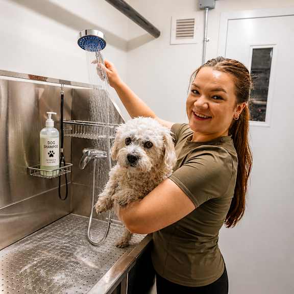 a woman is giving a dog a bath in a stainless steel sink.