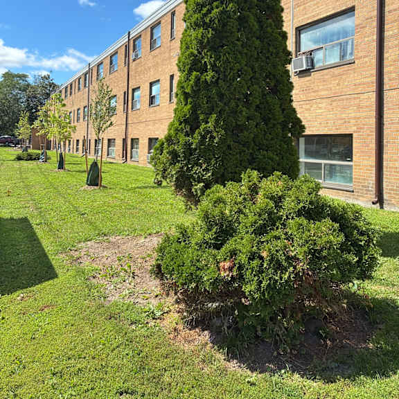 a tall building with a green lawn in front of it.