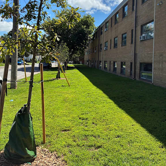 a tree in front of a building with a blue sky in the background.