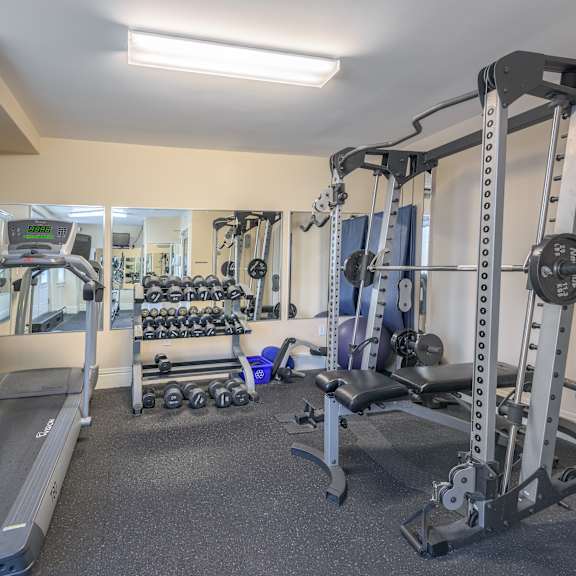 a well-equipped gym with a treadmill, weights, and exercise machines.