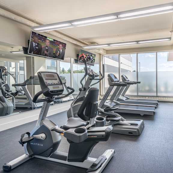 a gym with a variety of equipment including treadmills, elliptical machines, and weight machines.