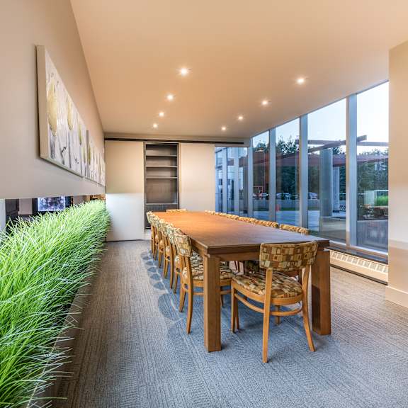 a long wooden table with chairs is in a room with a green plant on the left.